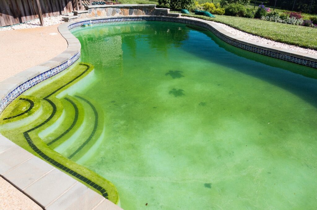 Ein schmutziger Swimmingpool und eine Terrasse im Hinterhof